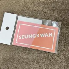 SEVENTEEN スングァン SEUNGKWAN クリアステッカー セブチ