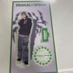 岩谷翔吾　トレカセットアクスタ