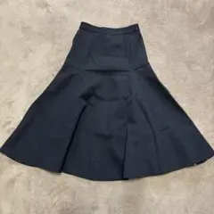 LE CIEL BLEU フレアスカートのサムネイル