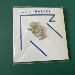 東横イン ご当地GENKIバッジ 千葉県 柏駅西口 ピンバッジ - メルカリ