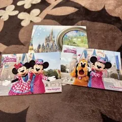 ミニーのファンダーランド パルパルーザ ミニパル ミニファン 台紙付写真