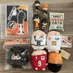 ハイキュー 白十字缶バッジ キズ処置シリーズコラボ 当選品 日向翔陽