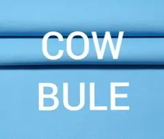 chiri様 リクエスト 2点 まとめ商品