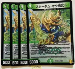 スターダムオウカブト　4枚