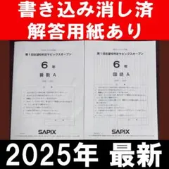 2026年最新】SAPIX直前模試の人気アイテム - メルカリ