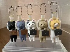 通勤ネコ　ガチャガチャ