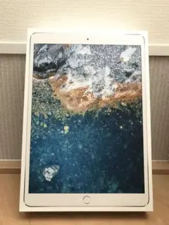 iPad Pro 10.5インチ シルバー 64GB WiFiモデル