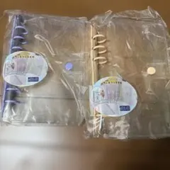 Item thumbnail for item d795e4cc-e638-42ea-9bff-036ada9c4366