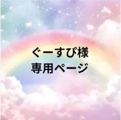 ぐーすぴ様 リクエスト 2点 まとめ商品