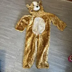 Item thumbnail for item c1dffc21-7e77-431d-abb7-43e8e38bb984