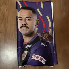 京都サンガピクセルミニクッションキーホルダー＆タオル　ラファエルエリアス