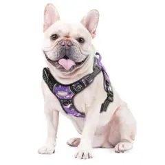 Item thumbnail for item 793142d8-9e69-41cd-bdbd-ca165e33458c