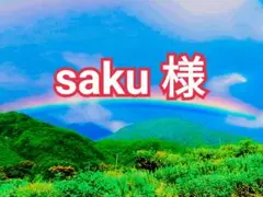 saku 様　山梨県産　天晴　甲斐キング　超特特大　さくら白桃 saku 様 山梨県産 天晴 甲斐キング 超特特大 さくら白桃 - メルカリ
