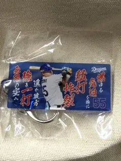 中日ドラゴンズ　細川成也 選手　選手応援歌アクリル　キーホルダー