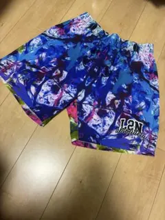 バスパン L2N absolutely Lサイズ　美品　　SWG