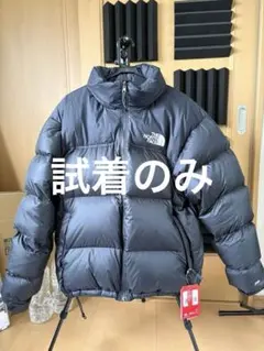 the north face 1996 retro nuptse Lサイズ