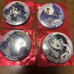 CRAZY RACCOON 缶バッジセット