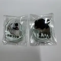 Item thumbnail for item e300095a-9d88-4922-b08f-4db8fb14bba2