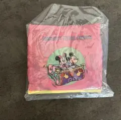 ディズニーランドカプセルトイミッキー ミニー エコバッグ