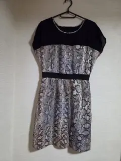 ヘビ柄 半袖ワンピース ZARABASIC