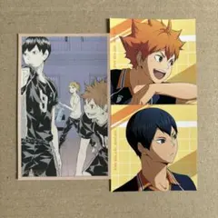 ハイキュー　日向翔陽　影山飛雄　メモリアルコレクション　カード　特典　アニメイト