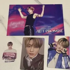 txt ACT PROMISE IN JAPAN 東京ドーム トレカ スビン