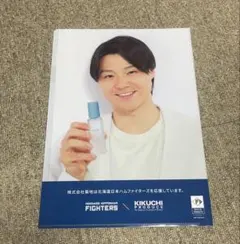 北海道日本ハムファイターズ mih クリアファイルのサムネイル