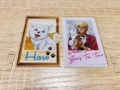 Item thumbnail for item 39a4f7bb-7d29-45c5-9eda-4ecb0758c182