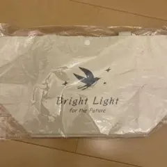 Item thumbnail for item 081f9c9e-912b-40b6-9bc6-c011975d61cb