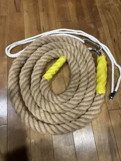 Item thumbnail for item be2d7151-14a1-4341-8dde-a0217279f185