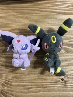 エーフィ ブラッキー ぬいぐるみ