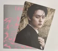 Stray Kids DOiT アルバム　ITver. スンミン