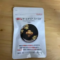 2025年最新】ターミナリアファースト120粒の人気アイテム - メルカリ