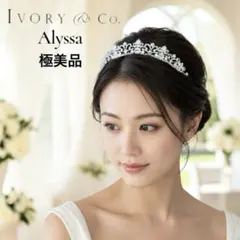 2026年最新】ivory&co alyssaの人気アイテム - メルカリ