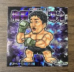 2026年最新】ビックリマンシール rizinの人気アイテム - メルカリ