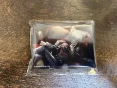 日野森志歩 ノーブルアート vol.52