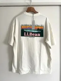 Item thumbnail for item 40122eee-7ceb-45e5-94b3-d1da648087e3