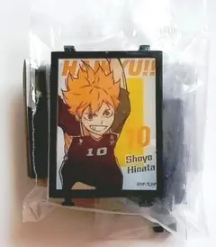 ハイキュー!! エモーショナルライトアップポスターコレクション 日向翔陽