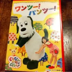 いないいないばあっ！　DVD　ワンツーパンツー　【訳あり】