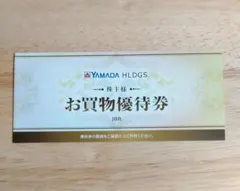 ヤマダ電機 株主優待 5000円分