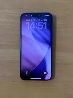 や*！様 iPhone 15 Pro Max ブルーチタニウム 512GB 美品