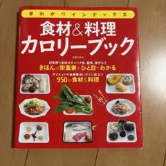 早わかりインデックス食材&料理カロリーブック