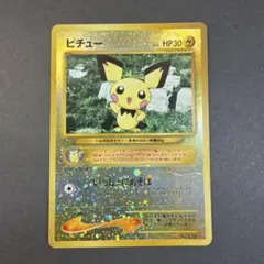 ピチュー_プレミアムファイル2 PROMO 第2世代（★neo・★VS・★we… ピチュー_プレミアムファイル2 PROMO 第2世代（☆neo・☆VS・☆we