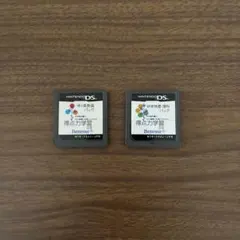 得点力学習DS カセット