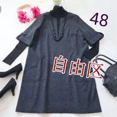 自由区 サイズ48 グレー 4XL 大きいサイズ ゆったり 美品 ワンピース