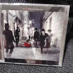 AcidBlackCherry◆INCUBUS◆完全限定生産盤DVD付◯美品◯