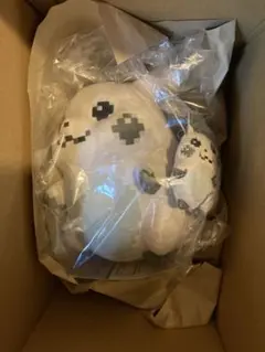 はじまりのピカチュウ　２点セット