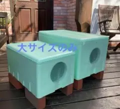 Tora's 外猫ハウス 大のサムネイル
