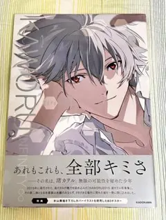 KAWORU INFINITY∞ 渚カヲル写真集2 ゲーマーズ ポストカード付き
