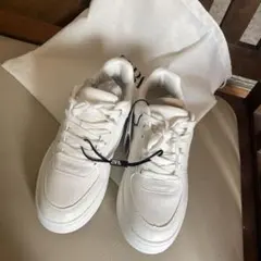 Item thumbnail for item 369366eb-2bb7-4af1-974b-4a171fa8e8ad